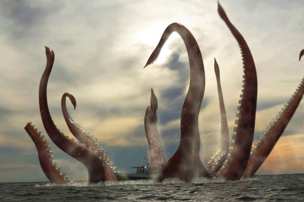 Kraken что это за магазин