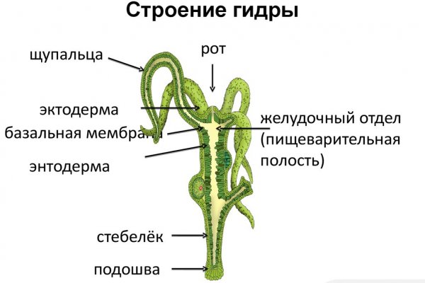 Кракен через тор