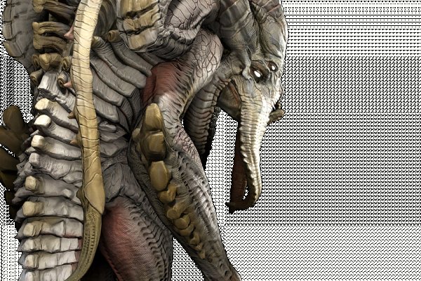 Kraken 18at