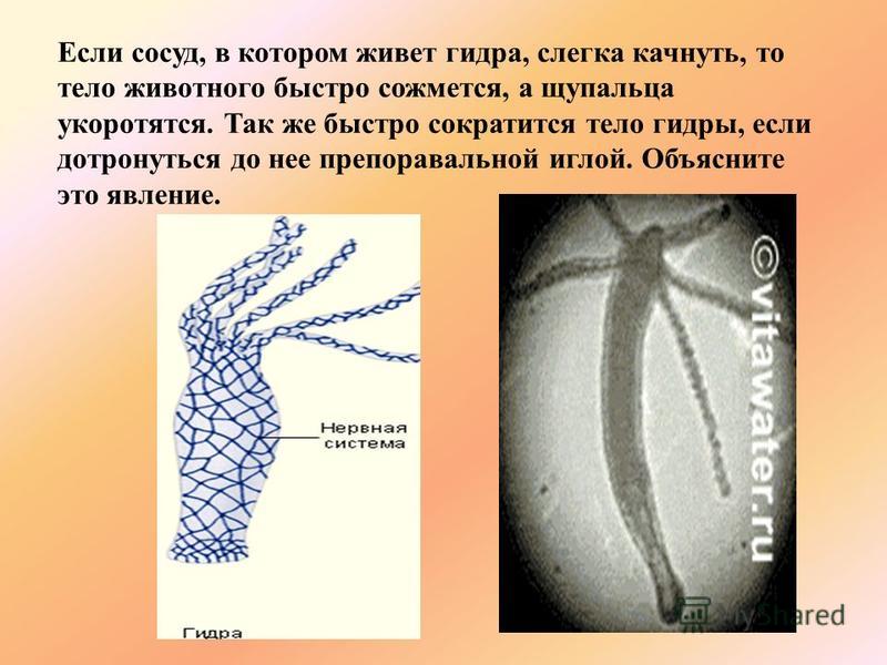 2krn ссылка